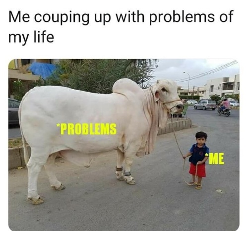 Me vs My Problems  CRAMEMS MEMES
