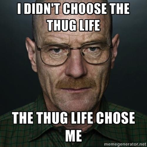 You don't choose it, Thug life chooses you  CRAMEMS MEMES
