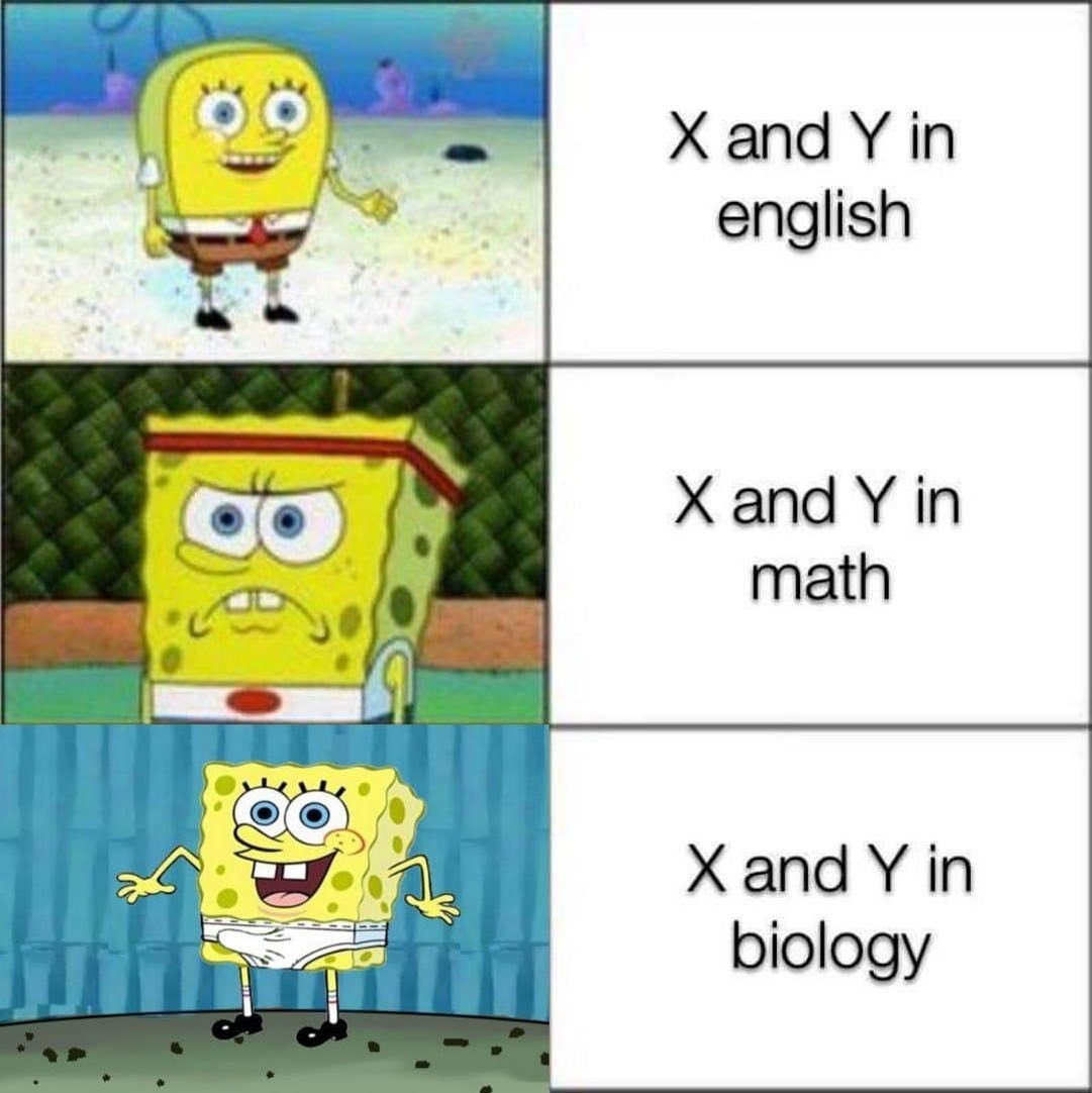 X and Y  CRAMEMS MEMES