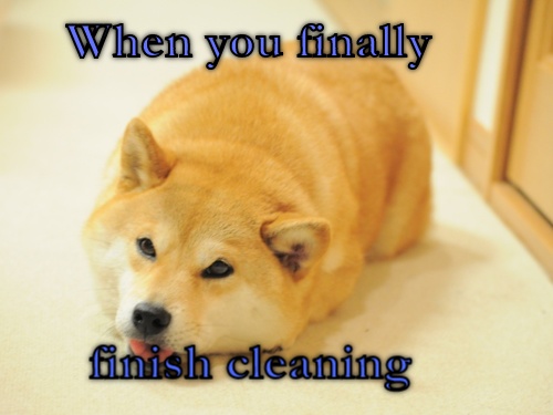 Doge When you FINALLY finish cleaning your room CRAMEMS MEMES