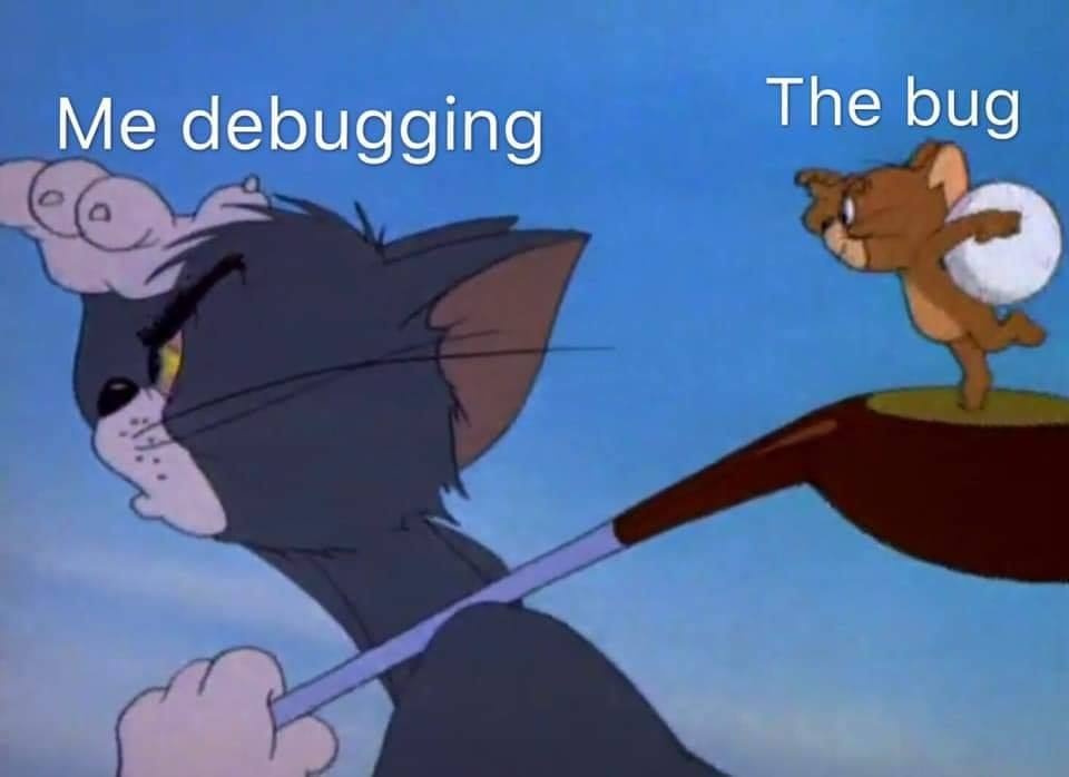 Bug vs Debugging  CRAMEMS MEMES