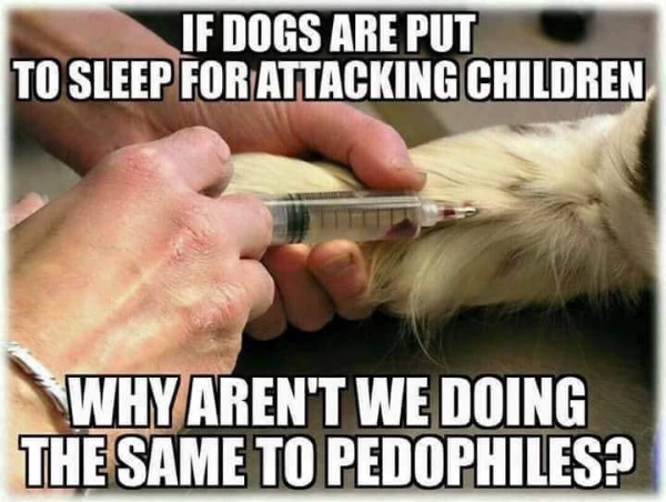 End of pedophilia It would spare our children and our pockets! CRAMEMS MEMES