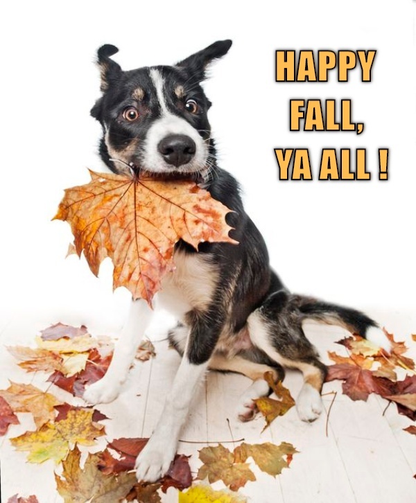 Happy Fall ...to ya all! CRAMEMS MEMES