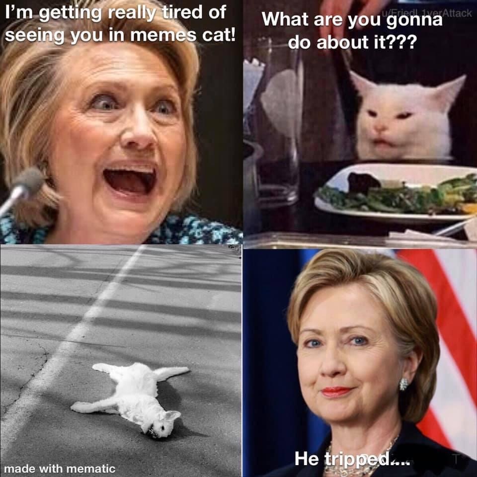 Cat hilarious meme Cat hilarious meme CRAMEMS MEMES