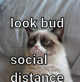 Social distance When your cat listens
To the news CRAMEMS MEMES